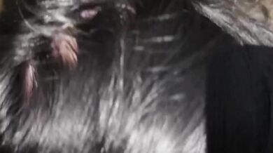 POV You Tied Up That Alt Girl And Fucked Her Hard In The Woods