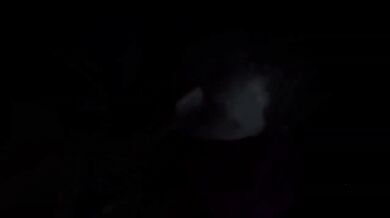 Amateur Wife Devours Cock Best Blowjob BBW Brunette Deepthroat POV HD Reality Verified