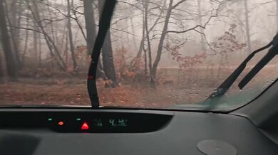 Forest Walk Destroyed by Tattooed Babe Big Ass Blowjob in Car