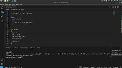 55 Polymorphism And Virtual Functions Exclusive Verified Amateur HD Porn