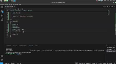 55 Polymorphism And Virtual Functions Exclusive Verified Amateur HD Porn