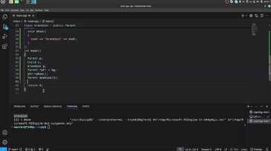 55 Polymorphism And Virtual Functions Exclusive Verified Amateur HD Porn