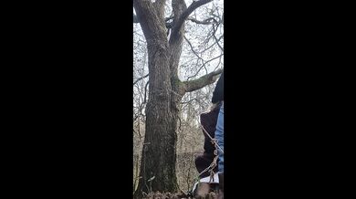 Couple Amateur Forest Fuck