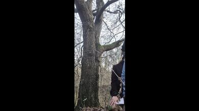 Couple Amateur Forest Fuck
