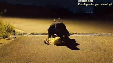 Street Sex Cowgirl Missionary On Asphalt With Perforated Jeans Pussy Dripping Gushing