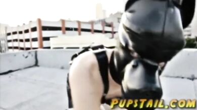 Downtown Puppy Slave Domination Dog Collar Public Crash