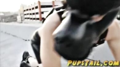 Downtown Puppy Slave Domination Dog Collar Public Crash