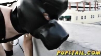 Downtown Puppy Slave Domination Dog Collar Public Crash