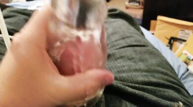 Amateur Boy And His Adult Toy Destroyed By Loud Moaning And Groaning