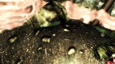 Falmer Enters Your Cave FPOV Taker POV Skyrim