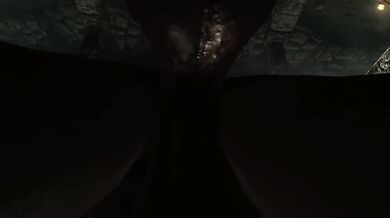 Two Big Black Cocks Destroy You FPOV Skyrim Threesome