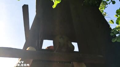 Public Forest Fuck Destroyed Fit Pawn Big Ass