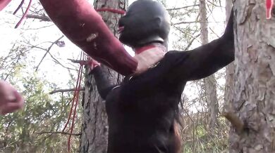 Tied To Tree Outdoors Masked Extreme Deepthroat No Mercy Wild Fucked In Woods Petite Brunette Amateur