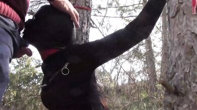 Tied To Tree Outdoors Masked Extreme Deepthroat No Mercy Wild Fucked In Woods Petite Brunette Amateur