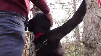 Tied To Tree Outdoors Masked Extreme Deepthroat No Mercy Wild Fucked In Woods Petite Brunette Amateur