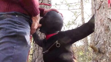 Tied To Tree Outdoors Masked Extreme Deepthroat No Mercy Wild Fucked In Woods Petite Brunette Amateur