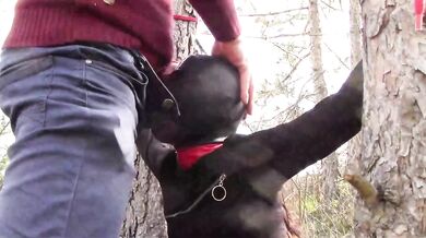 Tied To Tree Outdoors Masked Extreme Deepthroat No Mercy Wild Fucked In Woods Petite Brunette Amateur