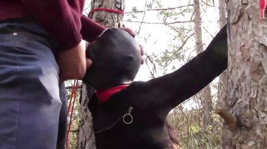 Tied To Tree Outdoors Masked Extreme Deepthroat No Mercy Wild Fucked In Woods Petite Brunette Amateur