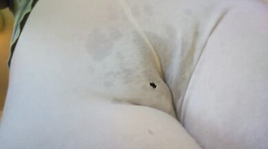 Pinkmoonlust Crazy Hairy Pawg Masturbates Wet Pussy All Natural