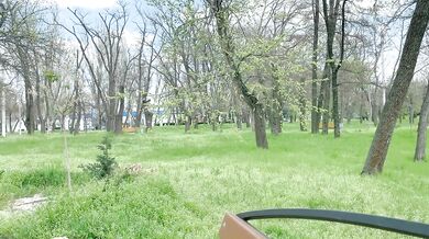 Blowjob in public in the park-Sweet girl swallows my sperm