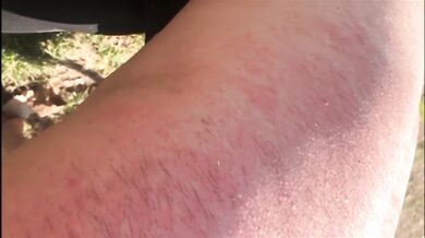 Another Springtime Whipping Day! OUTDOOR SESSION