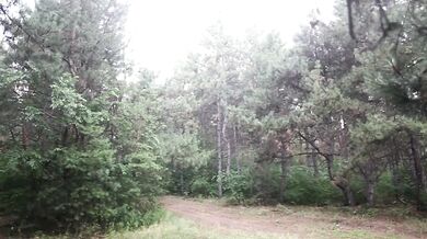 Wet Public Sex In The Woods - Scene In The Rain By Cherry Grace