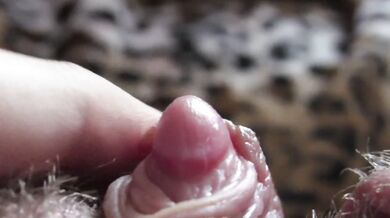 big clit hiding in the hairy bush