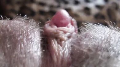 big clit hiding in the hairy bush