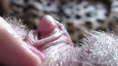 big clit hiding in the hairy bush