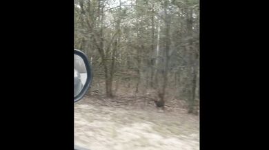 I went to pee in the forest and got hardcore fisting and creampie (Public fisting)