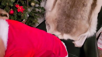 Santas slutty helper helps me cum