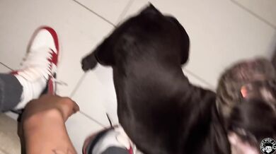 thick pawg neighbor sits on lil d