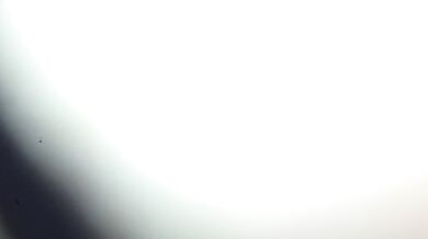 Asian Girl Creampie