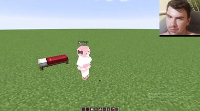 Fucked My Stepsister in Minecraft Jenny