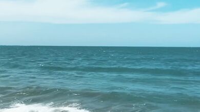 Teen Girl on a wild Nudist Beach jerks off, Sucks Dick, Shows Legs Public Outdoor, Blowjob