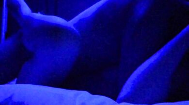 A serious student who is obscene by the light effect of the love hotel.
