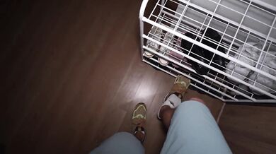 Husband came home late and begs forgiveness with his big cock in my mouth and pussy