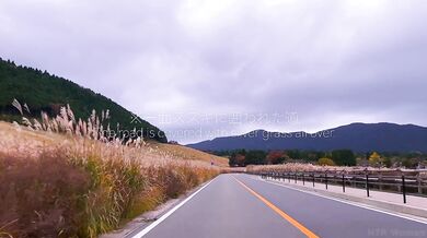 An adulterous married woman goes on a hot spring trip and has lots of sex.