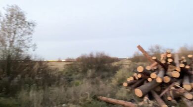 Picked up a rural slut and fucked her on logs