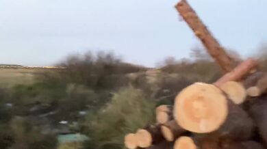 Picked up a rural slut and fucked her on logs