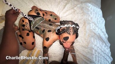 Breeding Dalmatians