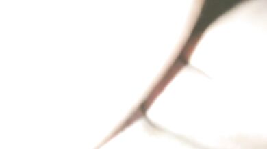 (POV) Shh, in silence, fuck me secretly and ejaculate on my buttocks (part 1)