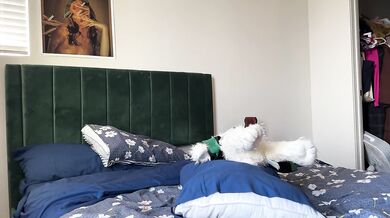 I hump my pillow and teddy bear until I cum hard