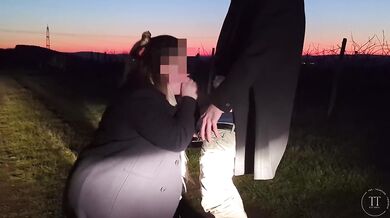 Blown off at sunset in the vineyard