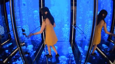 Crypto Millionaire Fucks Asian Escort DEEP IN ASS - TWOSETDUET