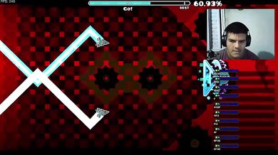 NINE CIRCLES