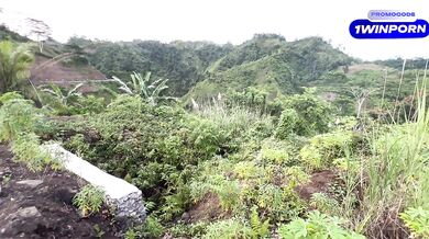 "Untamed Passion: An Ecstatic Nature Sex Journey” - NatureLoverPH