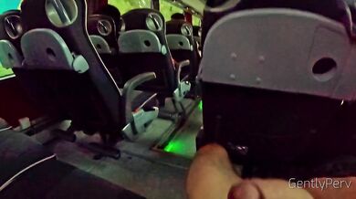 PUBLIC BUS ADVENTURE: I show my hard cock to a sexy cutie lady...she can't resist.