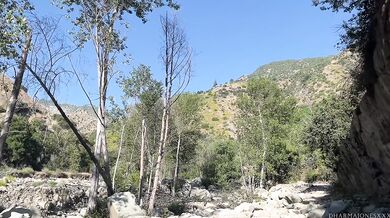 Hiker lesbians eat pussy & scissor by the river
