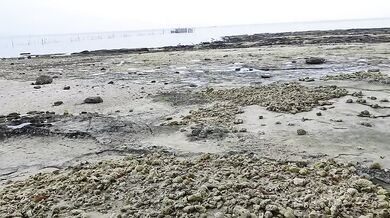 PART 2 Pinay Moaning Isla Adventures - Pinay Kinantot sa Beach Todo Ungol Kahit Kabado Kain Tamod -